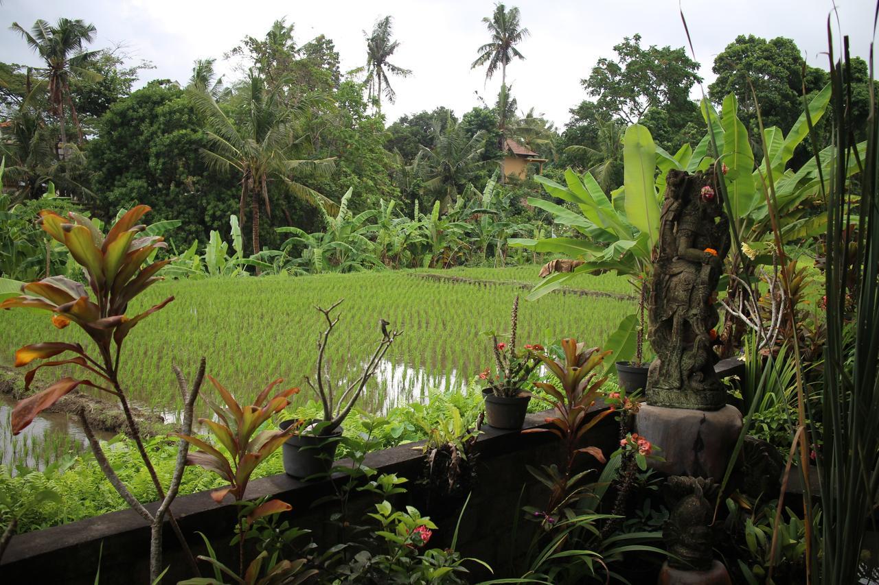 Ubud Sensasi Bungalow Ngoại thất bức ảnh