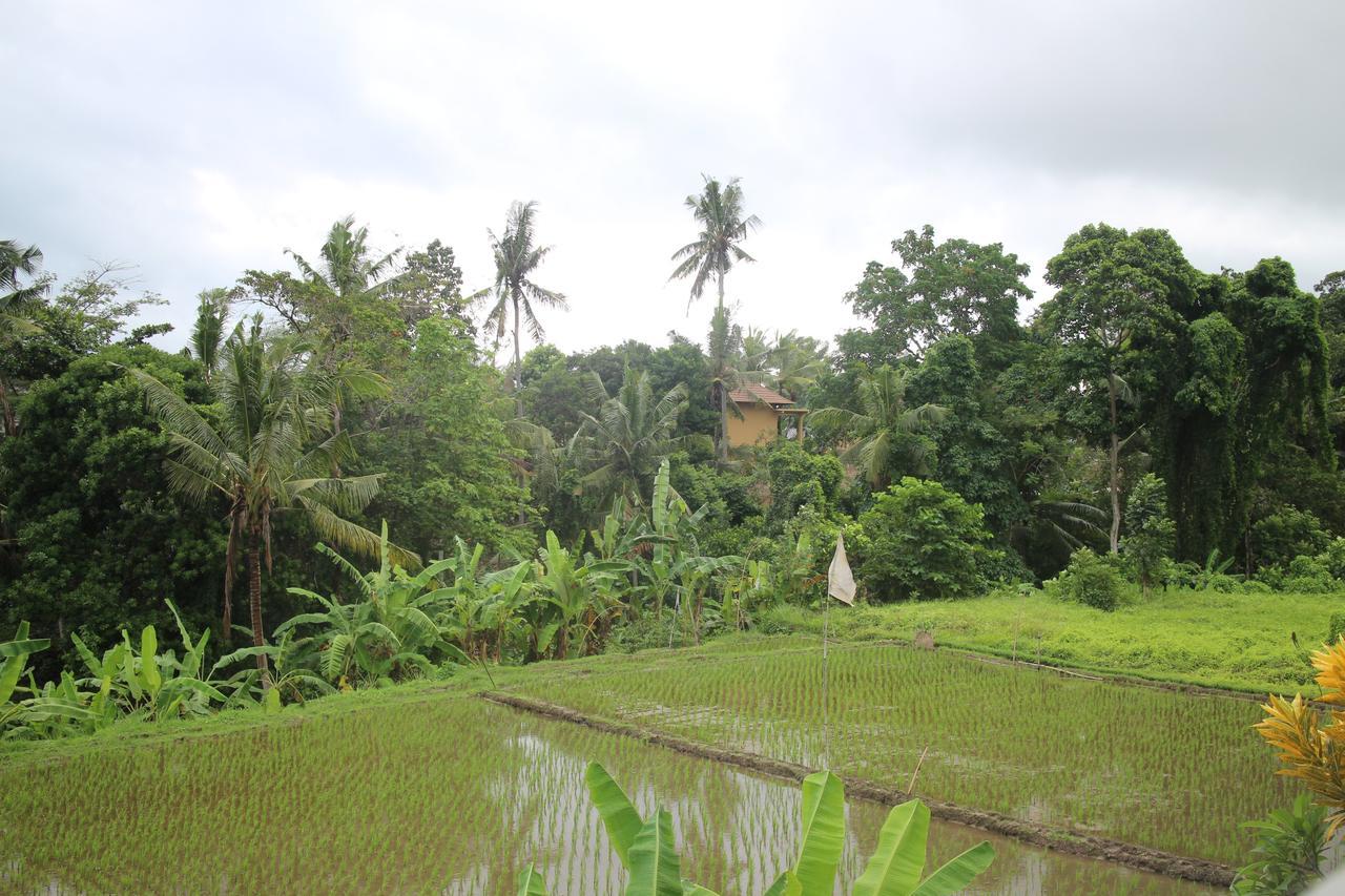 Ubud Sensasi Bungalow Ngoại thất bức ảnh