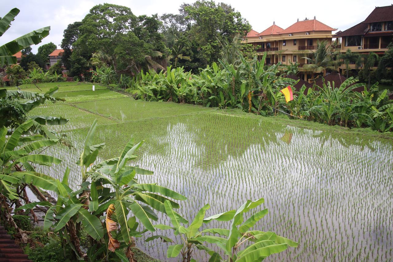 Ubud Sensasi Bungalow Ngoại thất bức ảnh